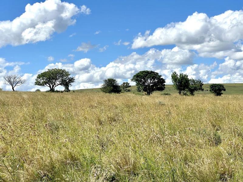 0 Bedroom Property for Sale in Lindley Free State